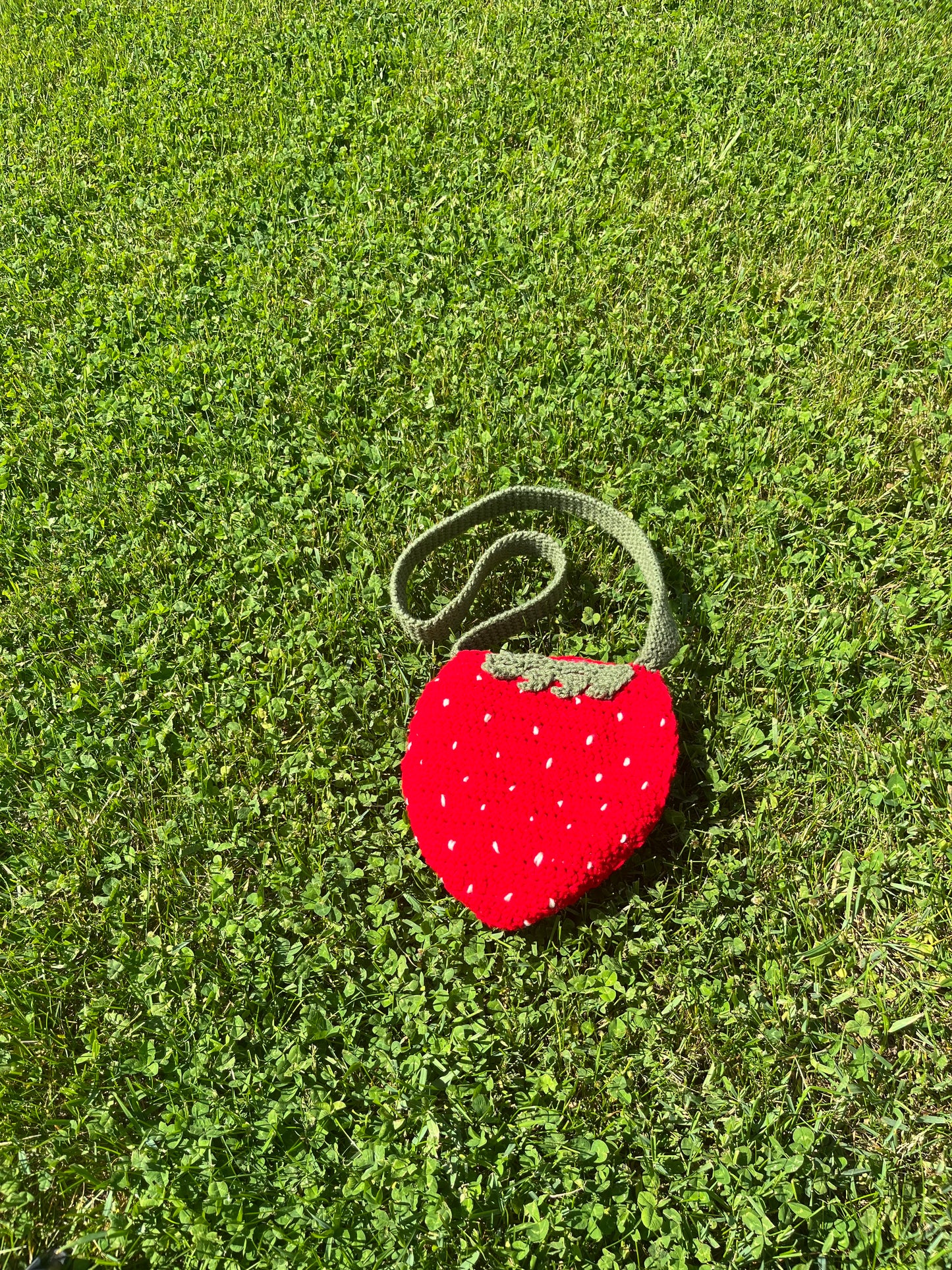 strawberry bag