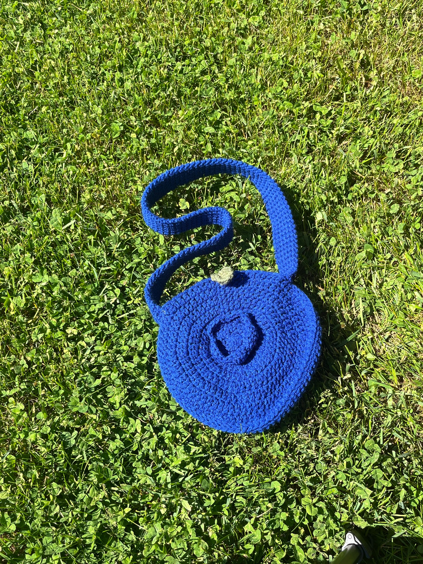 blueberry bag