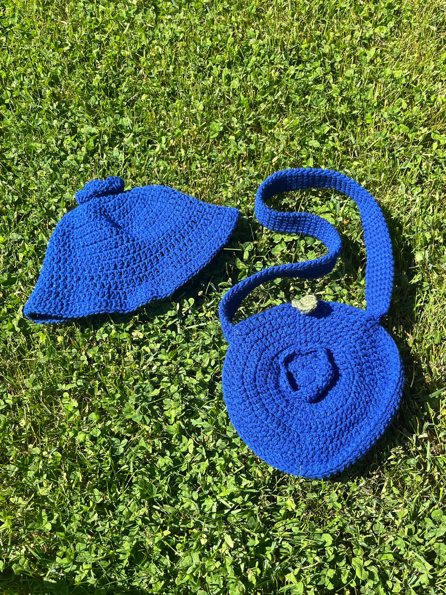 blueberry bag